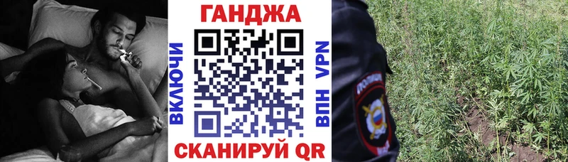 Конопля планчик  Сосновка 